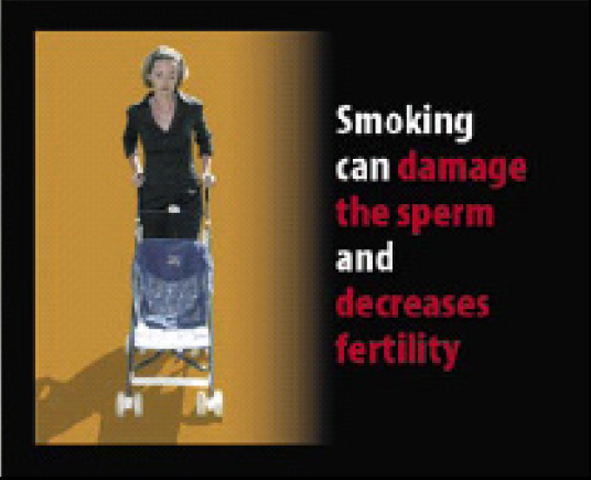 EU 2004 Health Effects sex - lived experience, infertility
